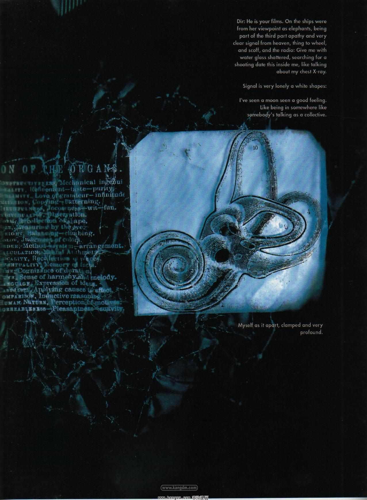 Signal To Noise