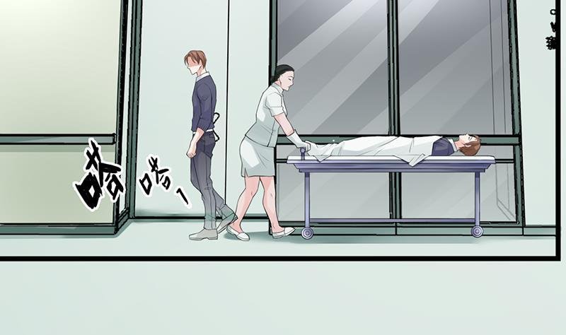 第00话 序话 魂归异世，凤于九天