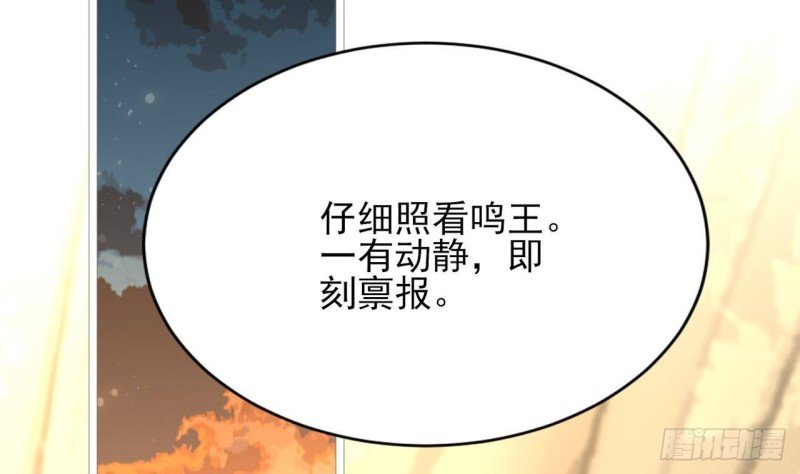 第107话 不要伤害他