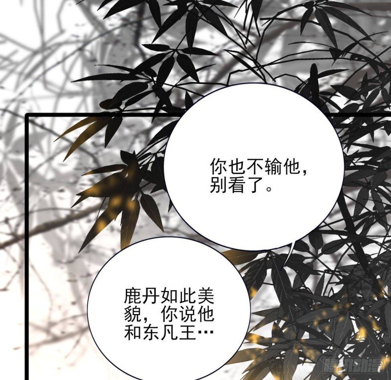 第145话 美人鹿丹登场