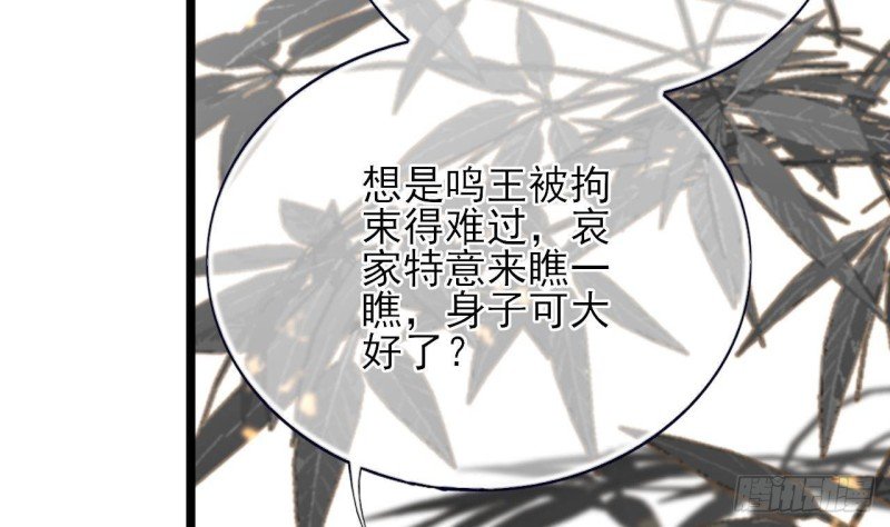 第146话 被囚禁的美人