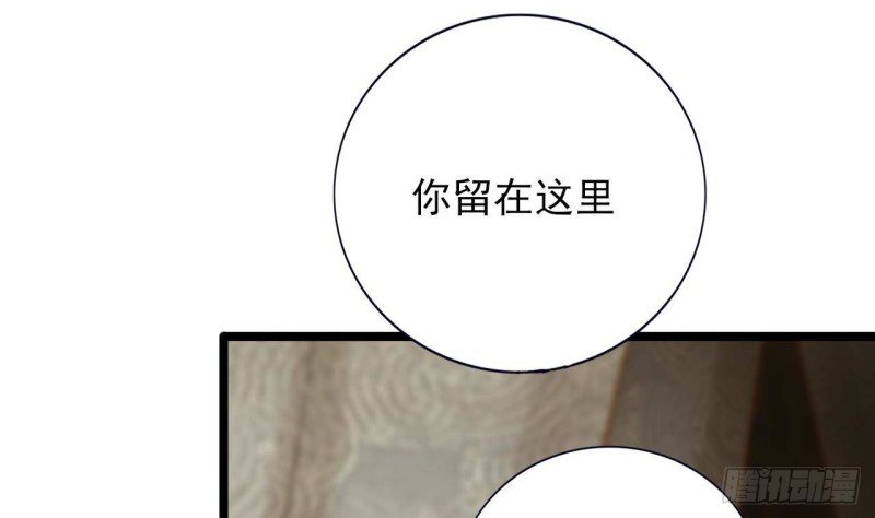 第154话 陷入沉睡的凤鸣