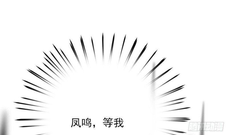 第156话 天佑凤鸣