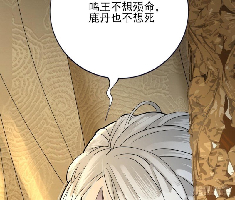 第168话 玩大了！