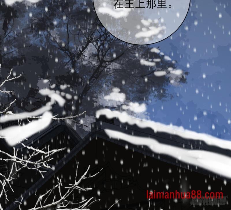 第178话 辅政
