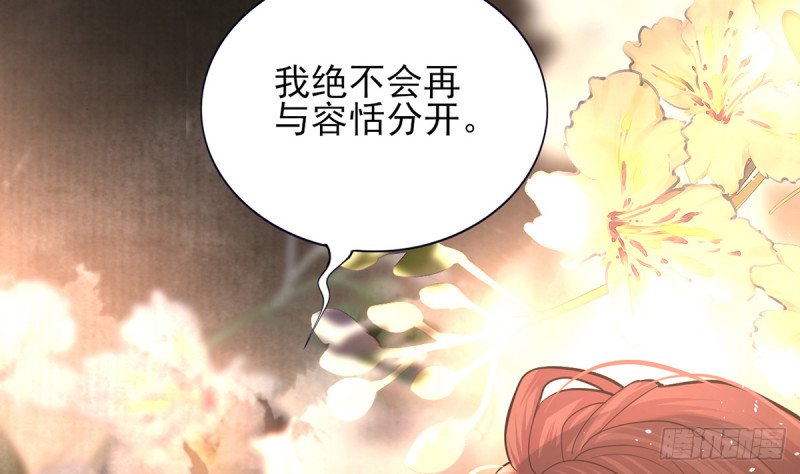 第195话 我绝不会再与容恬分开