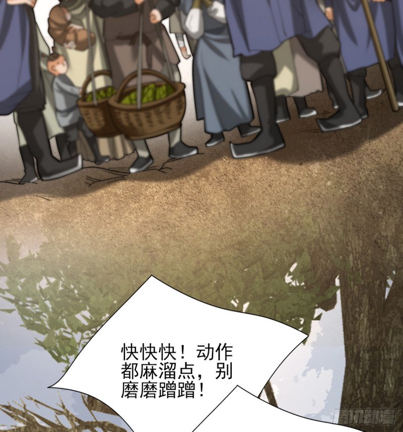 第203话 出发回西雷！