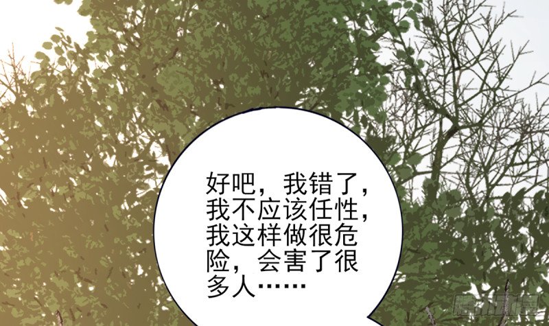 第203话 出发回西雷！