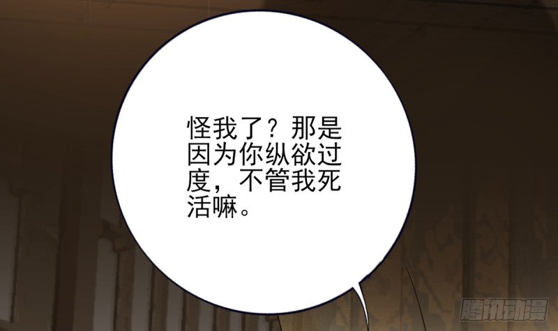 第203话 出发回西雷！