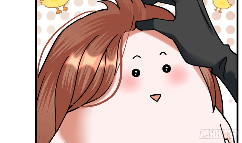 第209话 开始行动