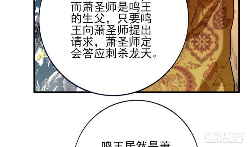 第220话 凤鸣的亲生母亲