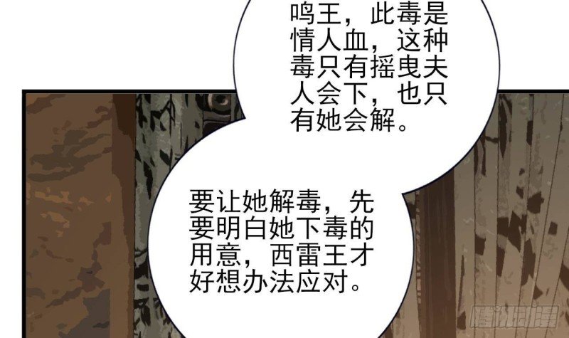 第220话 凤鸣的亲生母亲