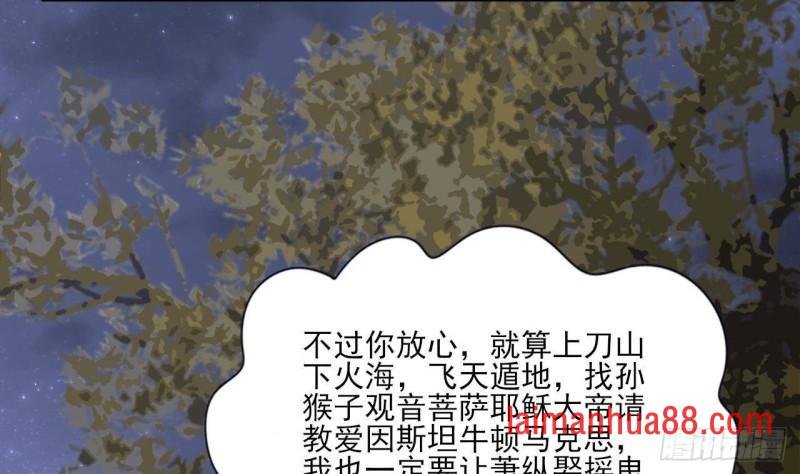 第224话 摇曳夫人来了