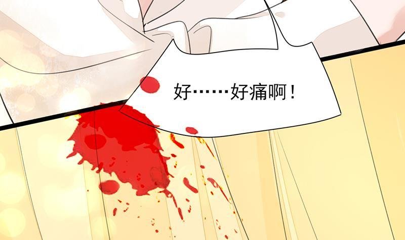 第30话 你的眼里只能有本王