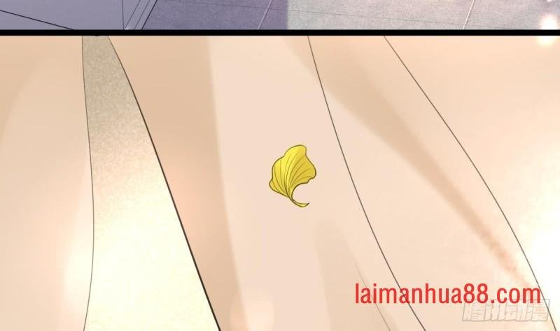 第40话 微臣等不及了