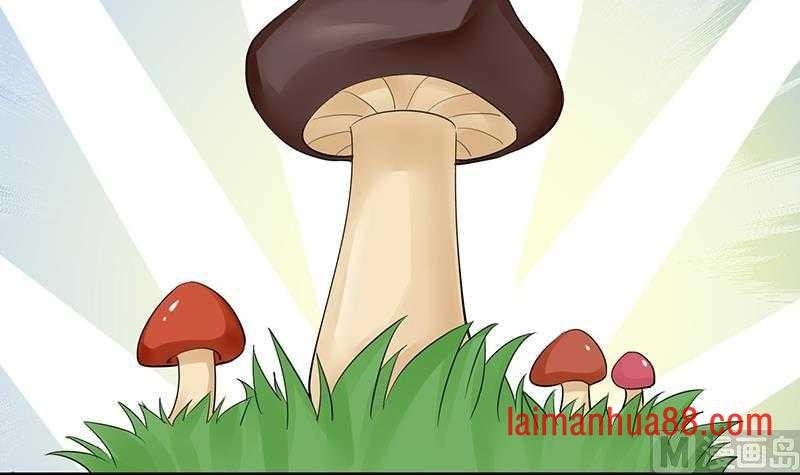 第04话 太子是个受虐狂？