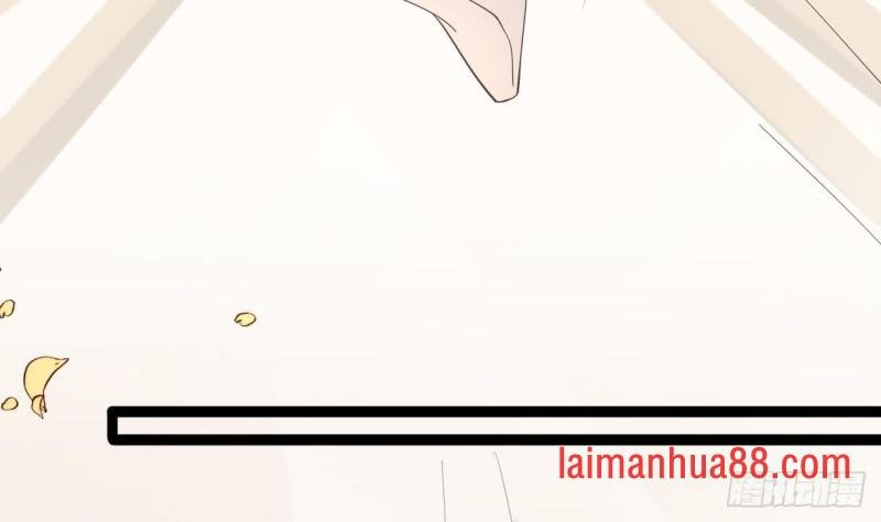 第65话 妙光的逃跑计划