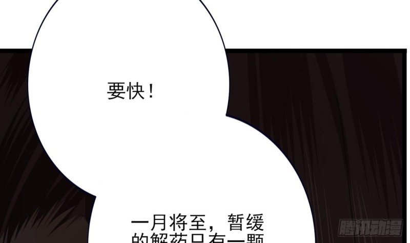 第66话 一起尝尝月月果