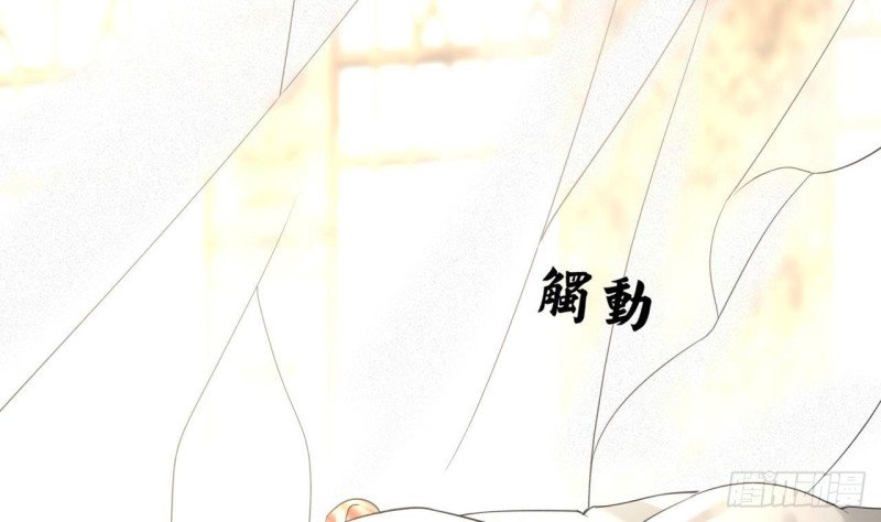 第79话 身不由己