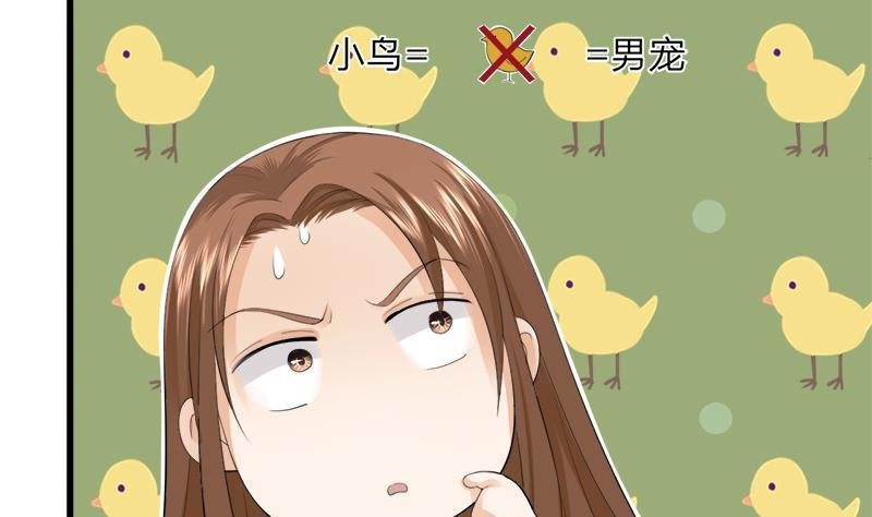 第08话 做我的“小鸟”