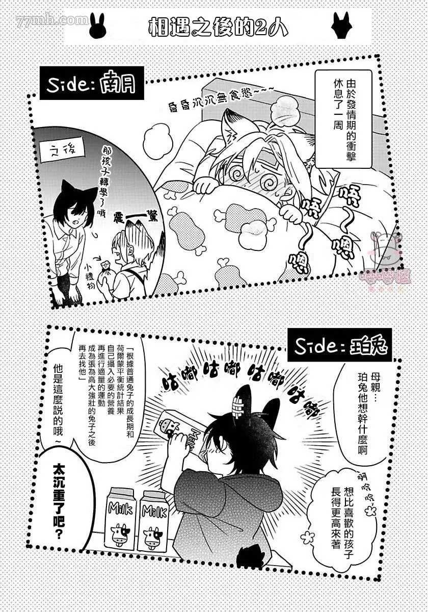 番外完结