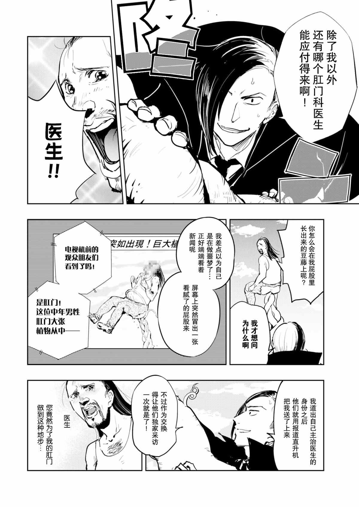 菊花与魔豆