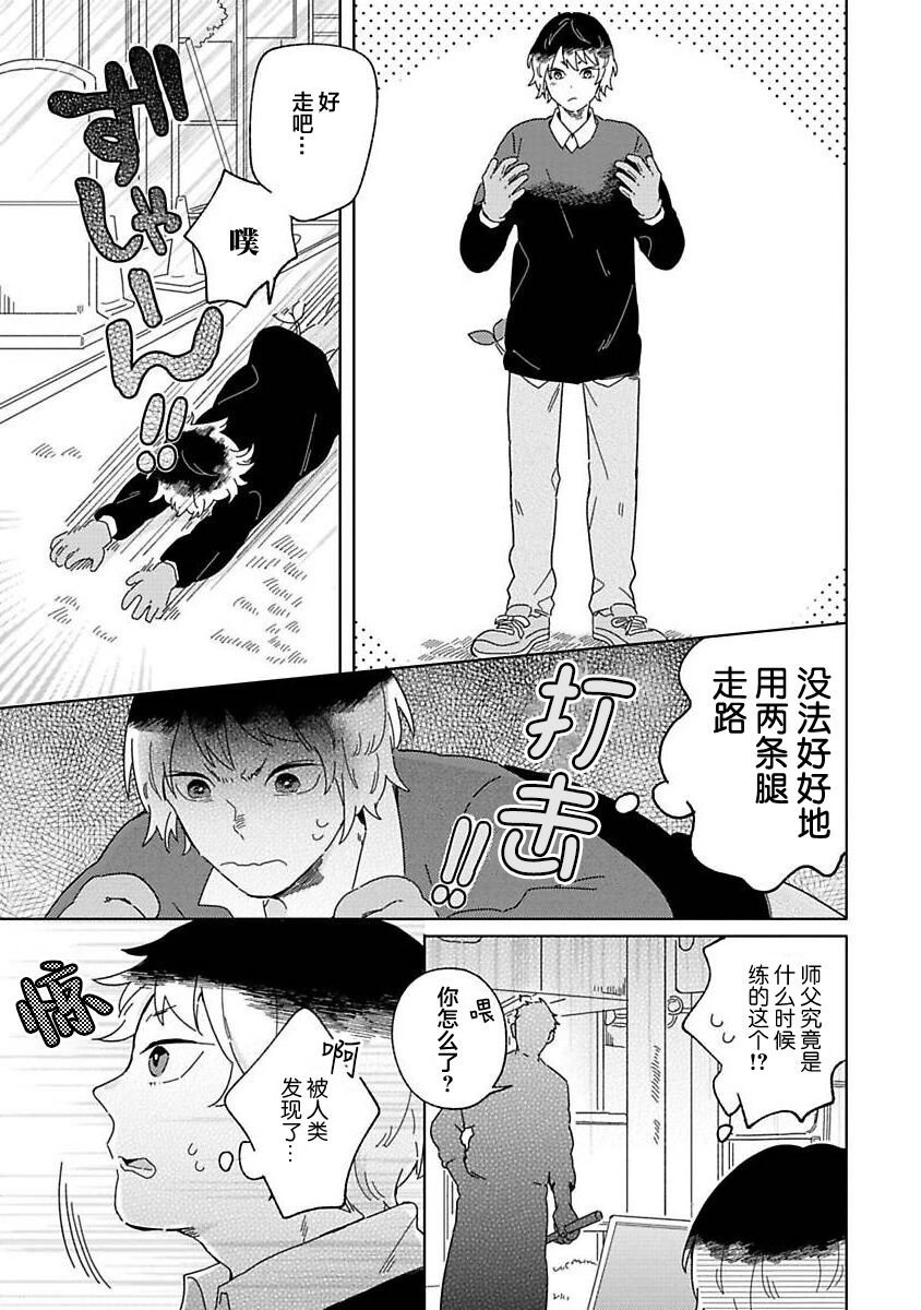 大弟子之卷