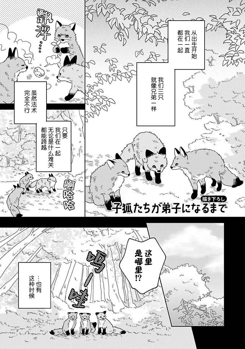 大弟子之卷