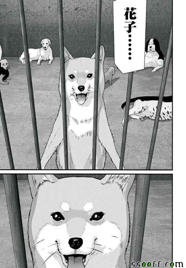 第84话