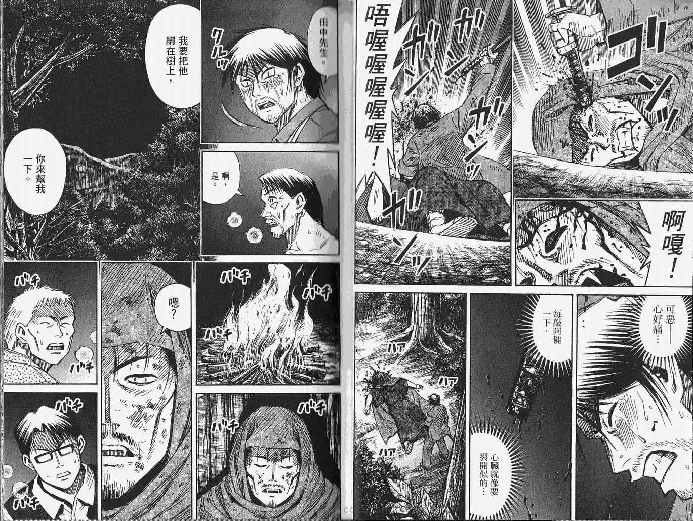 第28卷