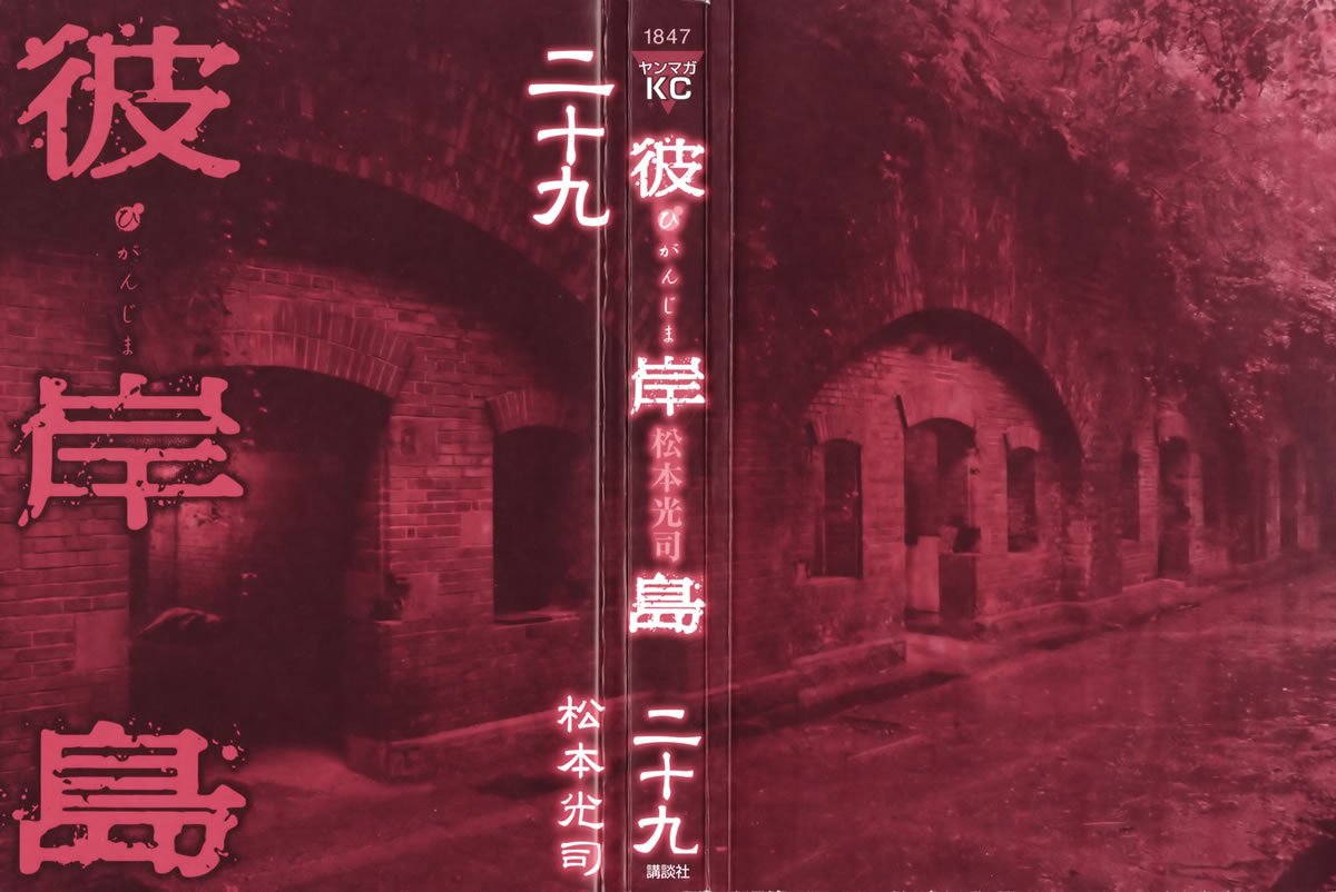 第29卷