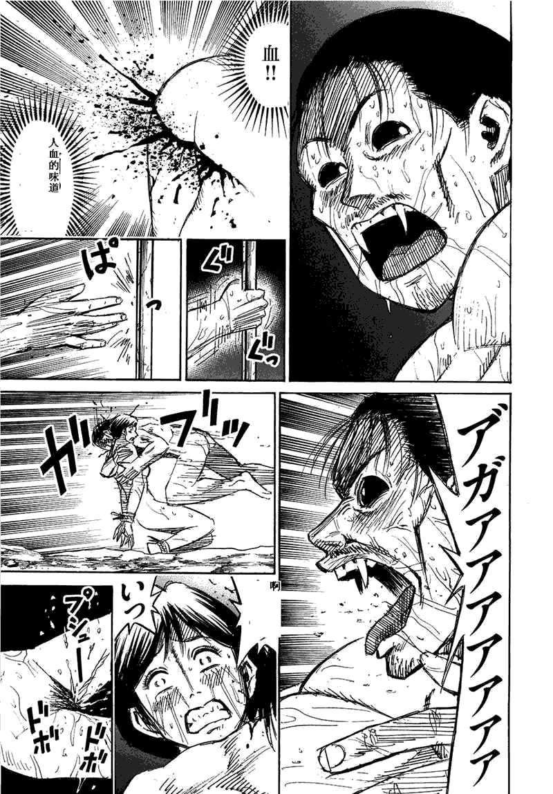 第29卷