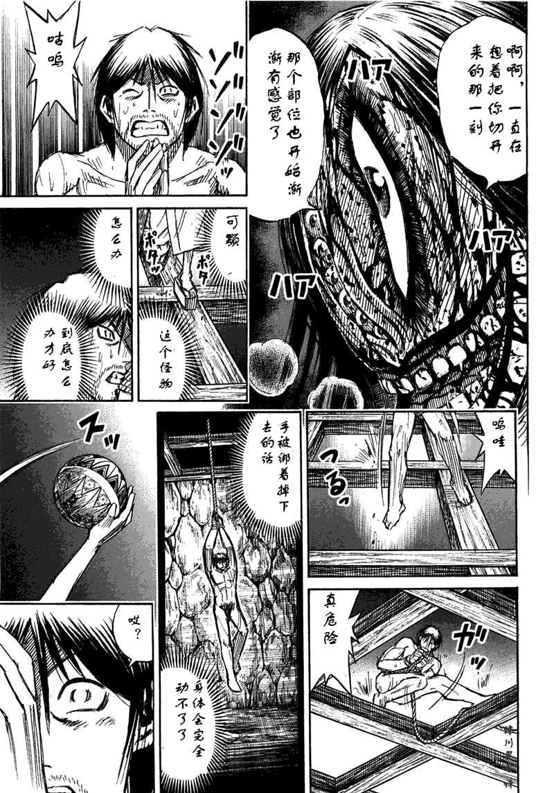 第30卷