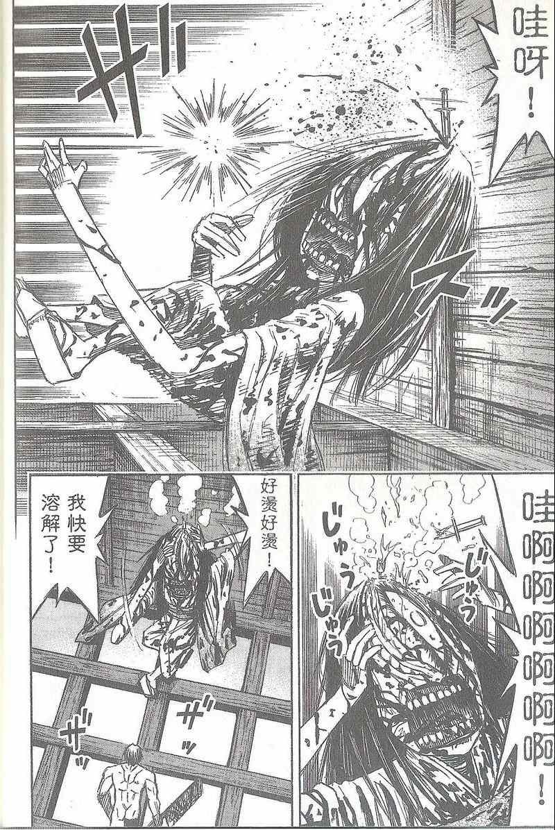 第31卷