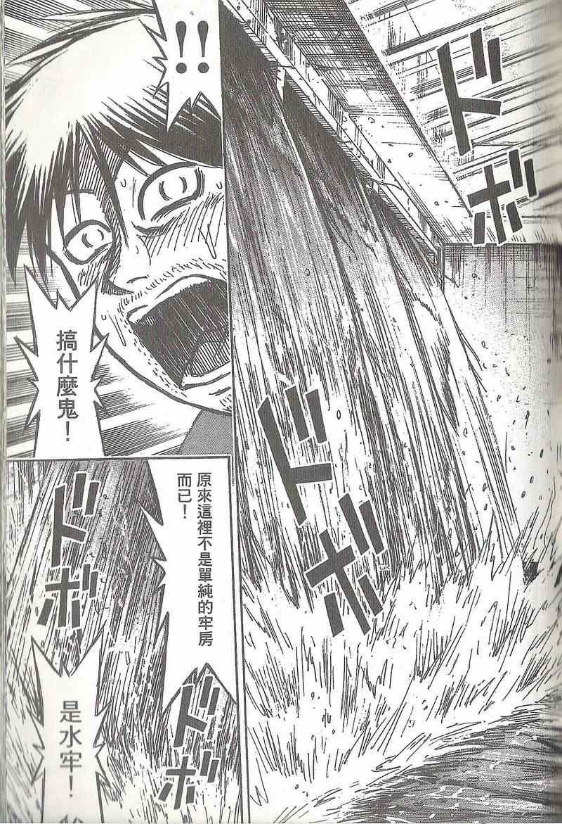 第31卷