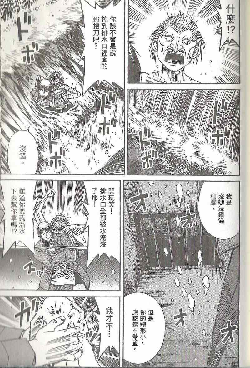 第31卷