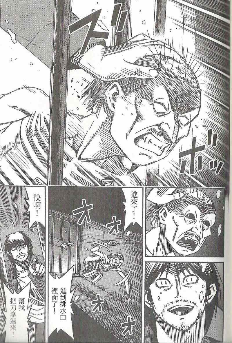 第31卷