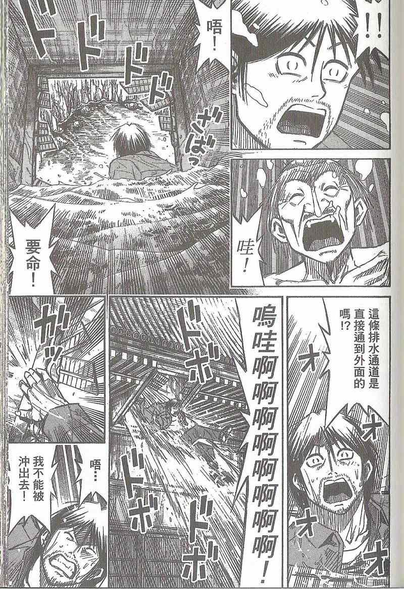 第31卷