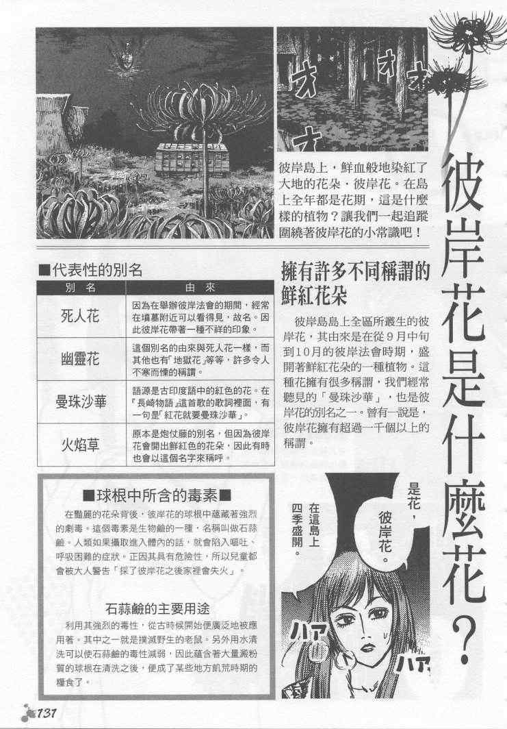 手引书