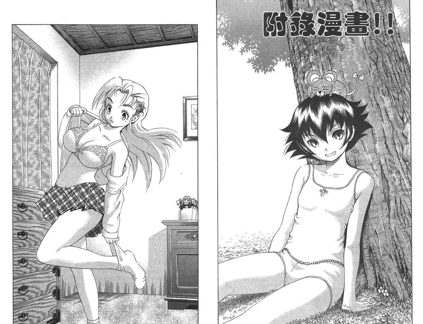 第31卷