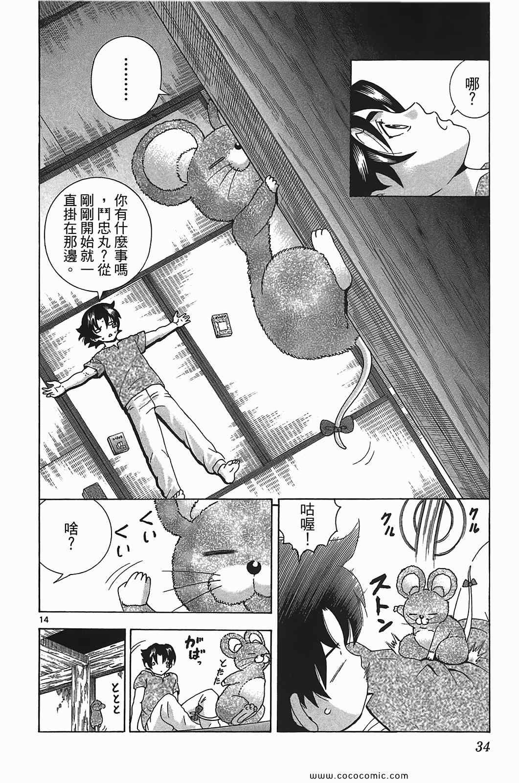 第41卷