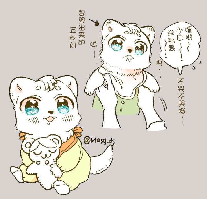推特更新