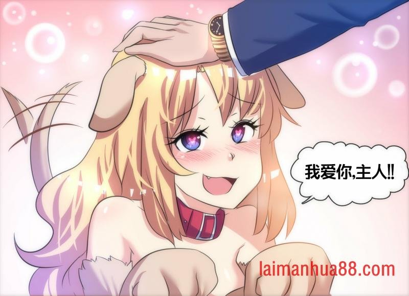 猫VS狗 1
