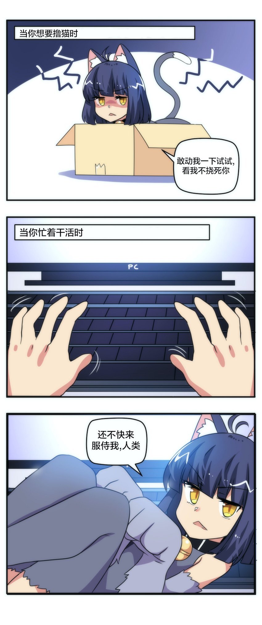 猫VS狗3