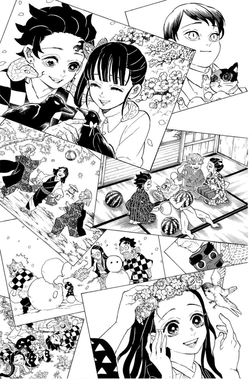 第23卷