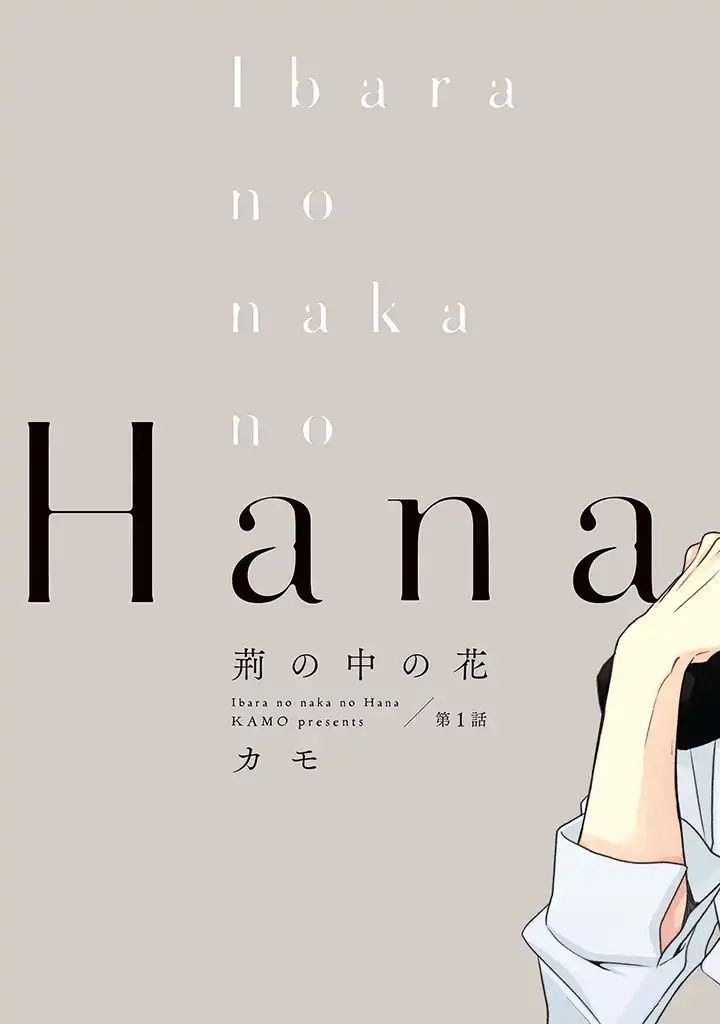 第1.1话