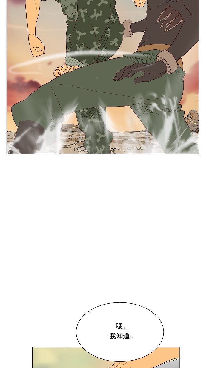 第117话
