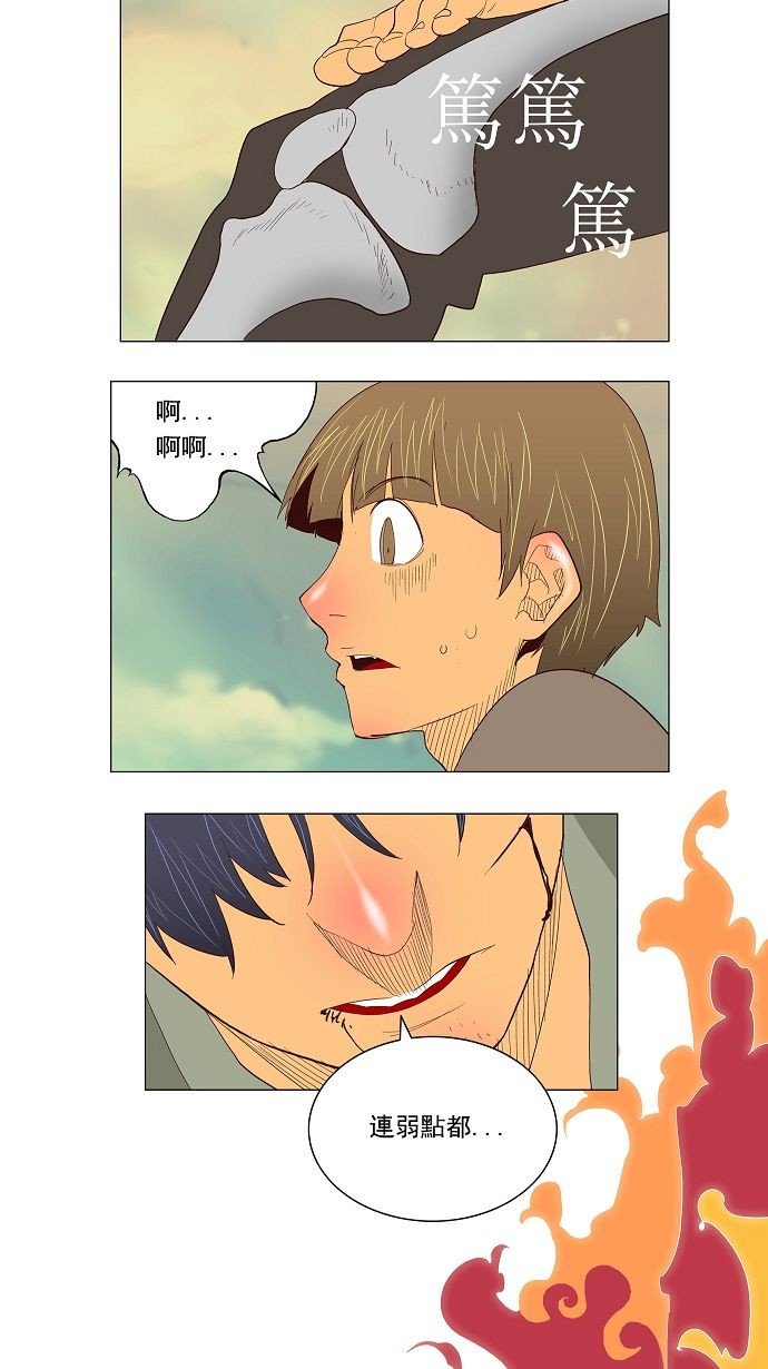 第117话