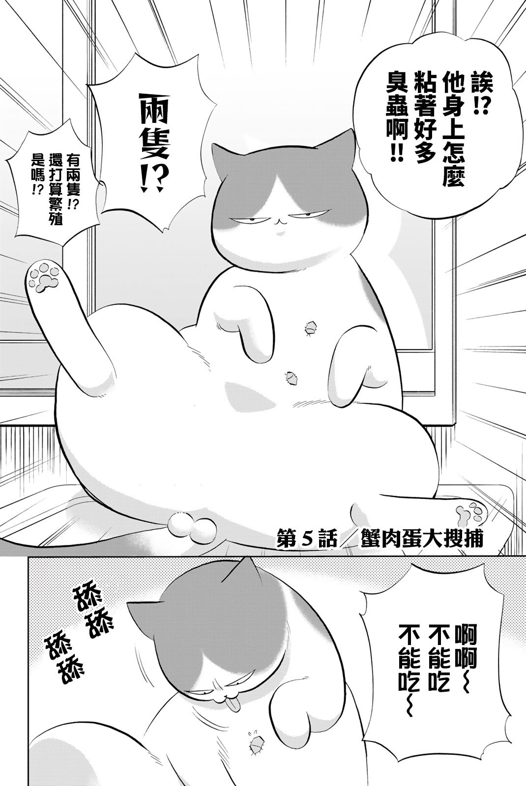 第5话 蟹肉蛋大搜捕