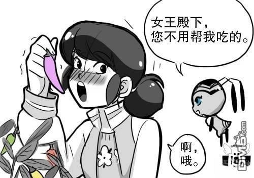 第03季04话